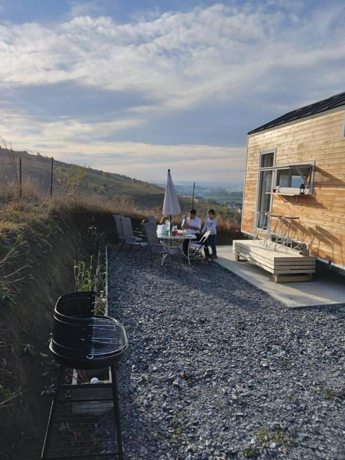 Tiny House Cluj With Jacuzzi Villa Sinnicoara Dış mekan fotoğraf