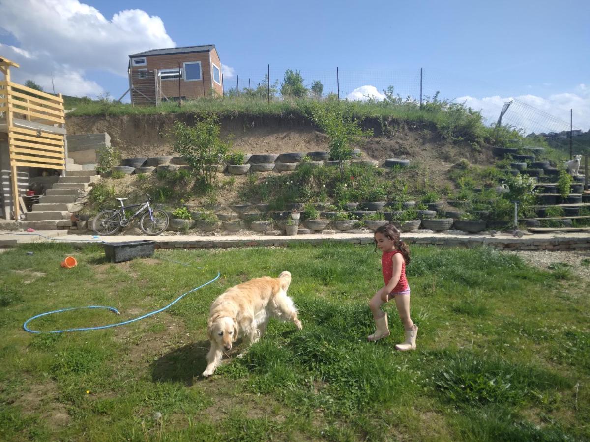 Tiny House Cluj With Jacuzzi Villa Sinnicoara Dış mekan fotoğraf