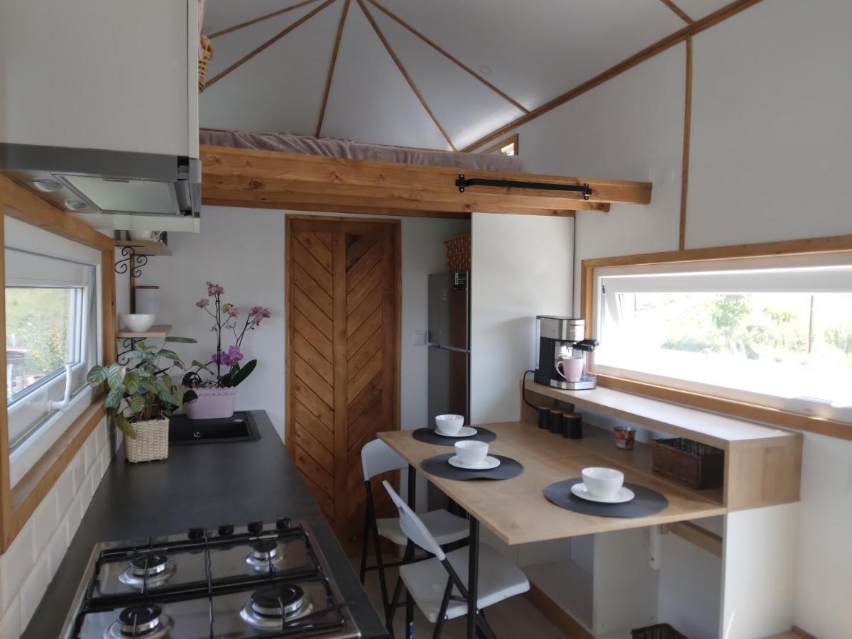 Tiny House Cluj With Jacuzzi Villa Sinnicoara Dış mekan fotoğraf