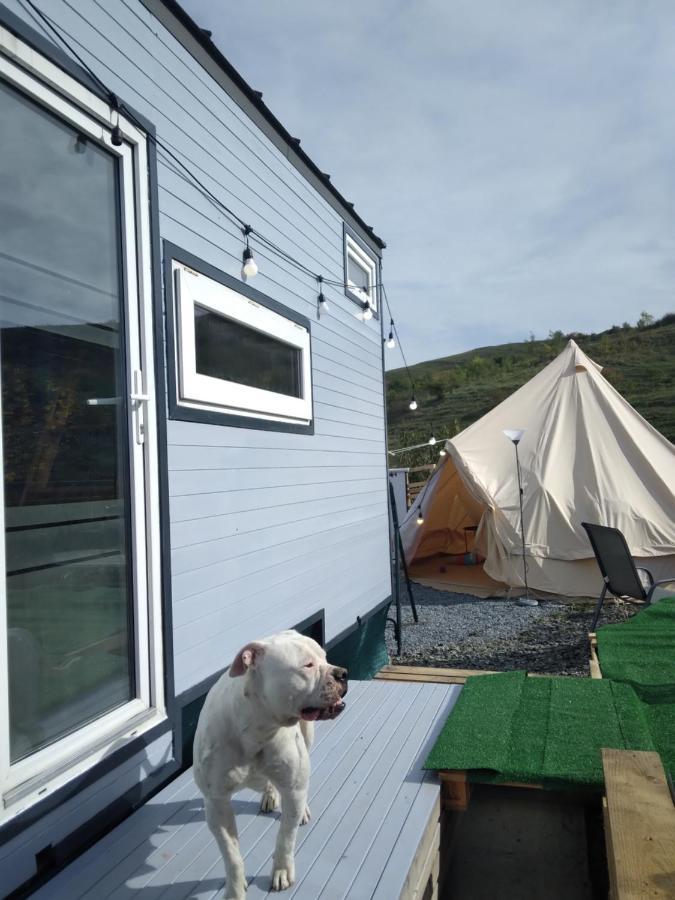 Tiny House Cluj With Jacuzzi Villa Sinnicoara Dış mekan fotoğraf